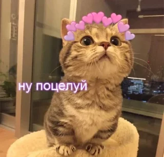 🌝