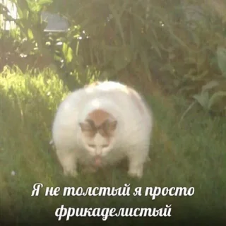 😠