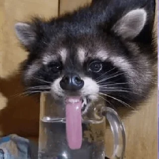 🫥
