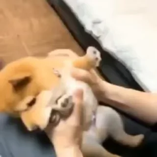 😠