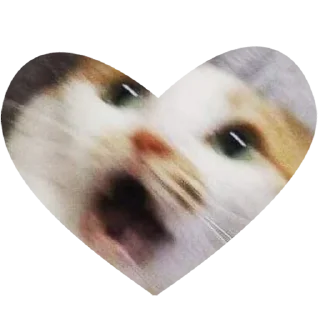 😵