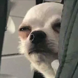 🤨