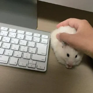 ⌨️
