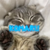 Будни Комару @komaru_gif