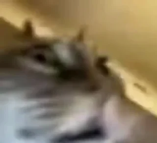 😮‍💨