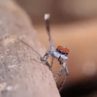 ✋
