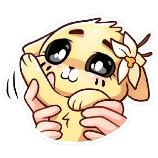 👋