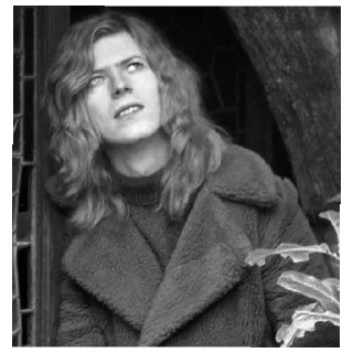 David Bowie