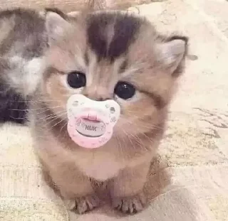 👶