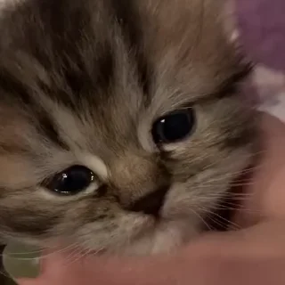🤞