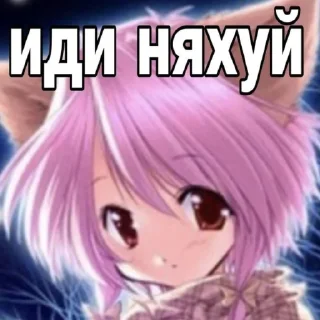 😸