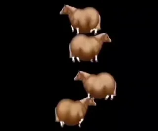 🤩