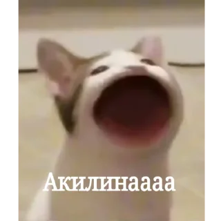 🥱