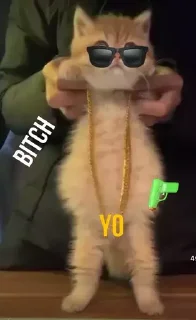🔫
