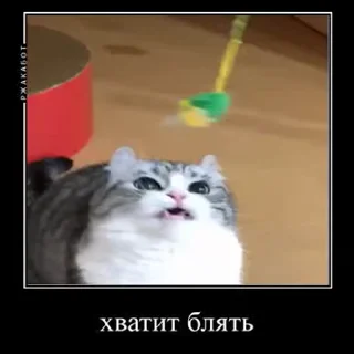 🙄