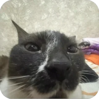 😏