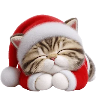 😴