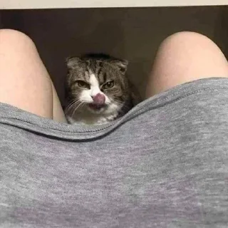 😏