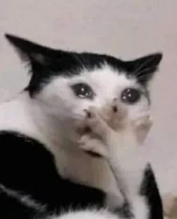 😭