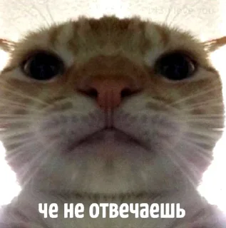 😠