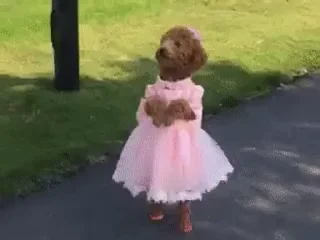 👗