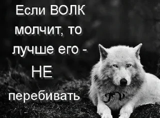 🐺