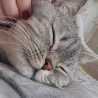 😴