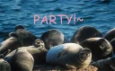 🎉