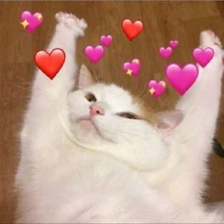 😊