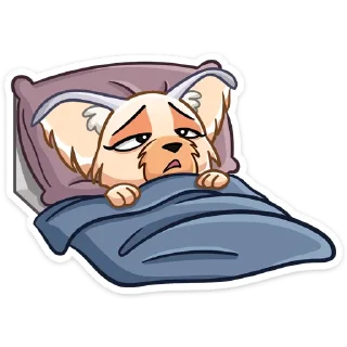 😴