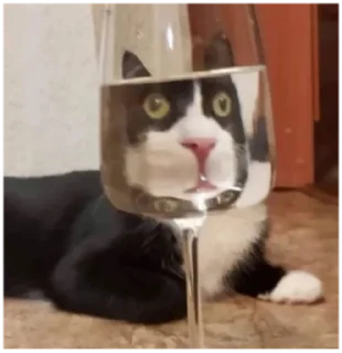 😐