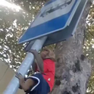 🐒