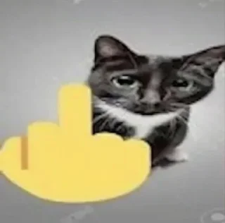 глупые коты/@kitkapepsi :: @fStikBot