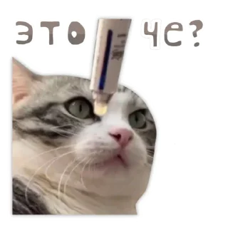 🤨