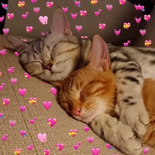 💞