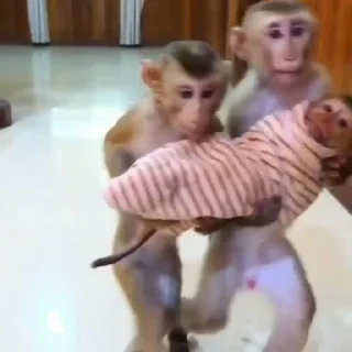 🤱