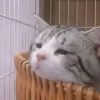 😞