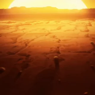 🤩