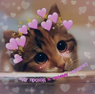 🥺
