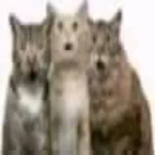 😱