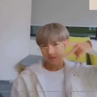 🦊