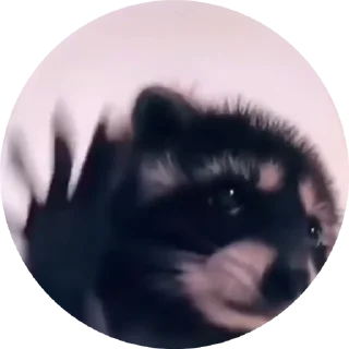 🕺