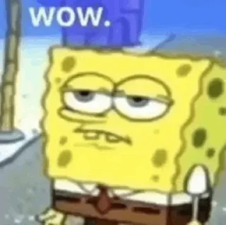 🧽
