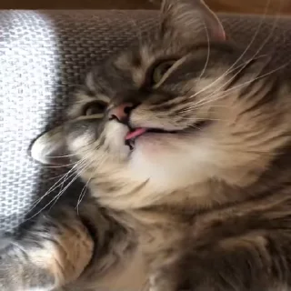 😝