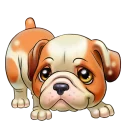 🐶