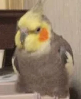 😡