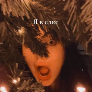 🎄