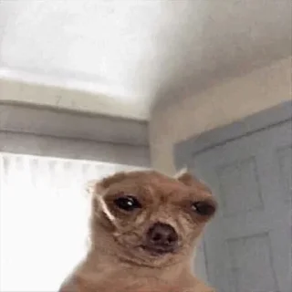 🤠
