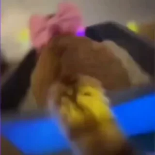 🤩
