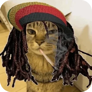 🎩